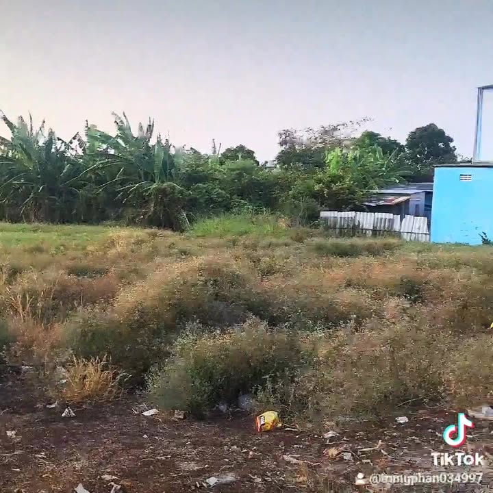 Đất mặt tiền Tỉnh Lộ 873, Gò Công 1479m² giá 4.872 tỷ - Cơ hội đầu tư hấp dẫn!