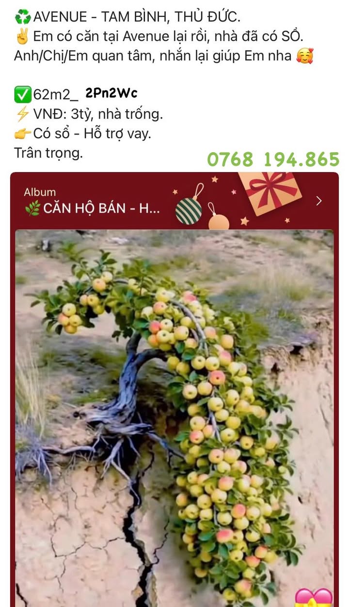 Đất thổ cư 100% hẻm 47, đường 12, Tam Bình 50,5m² giá 4,6 tỷ - Sổ hồng chính chủ!