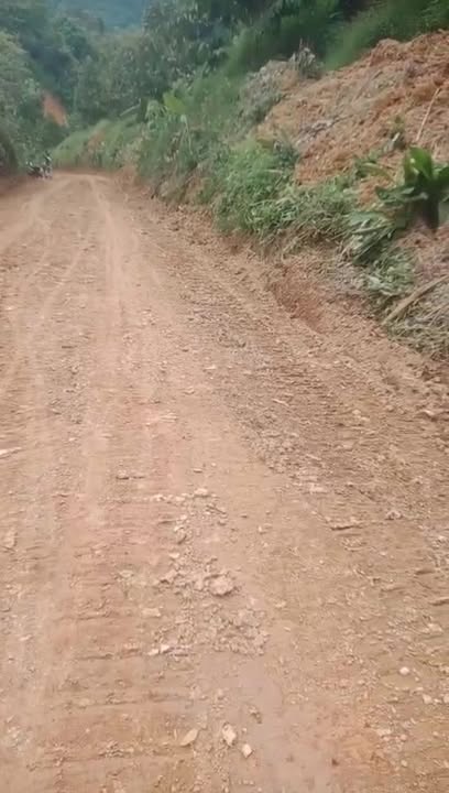 Farm sầu riêng 72.000m² Đạ Tẻh giá 650 triệu - Đầu tư sinh lời hấp dẫn!