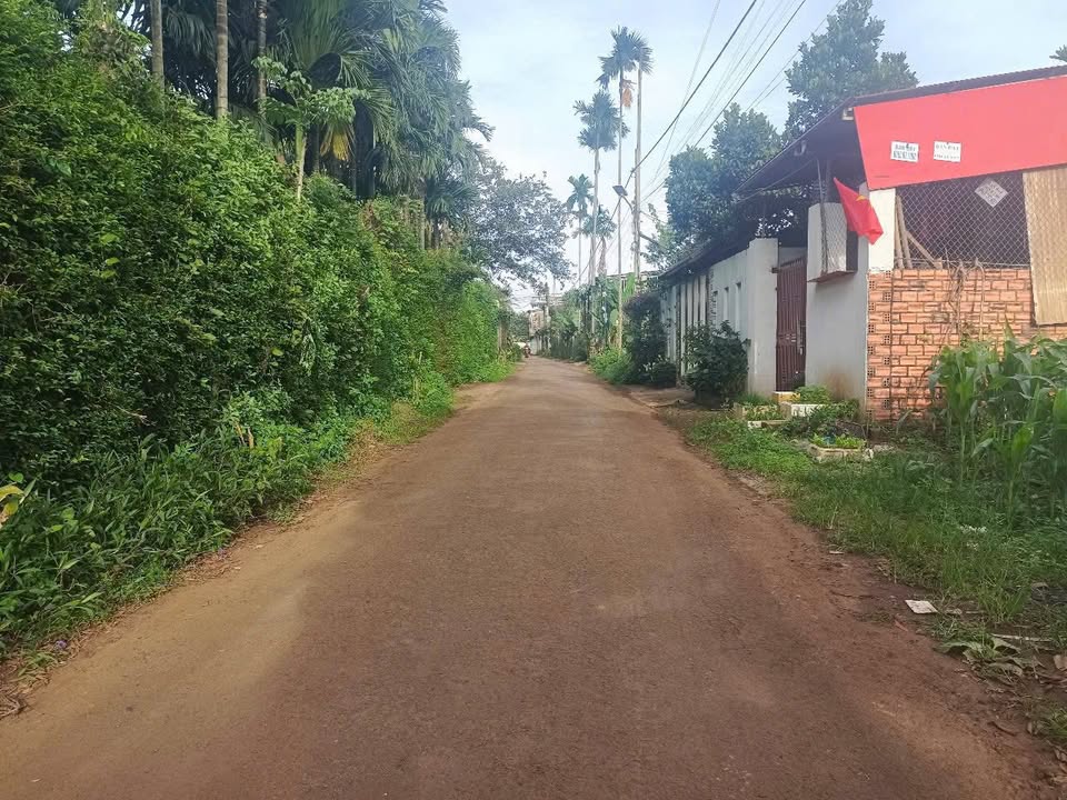 Đất thổ cư Hòa Thắng, Buôn Ma Thuột 150m² giá 768 triệu - Mặt tiền đường nhựa rộng rãi!