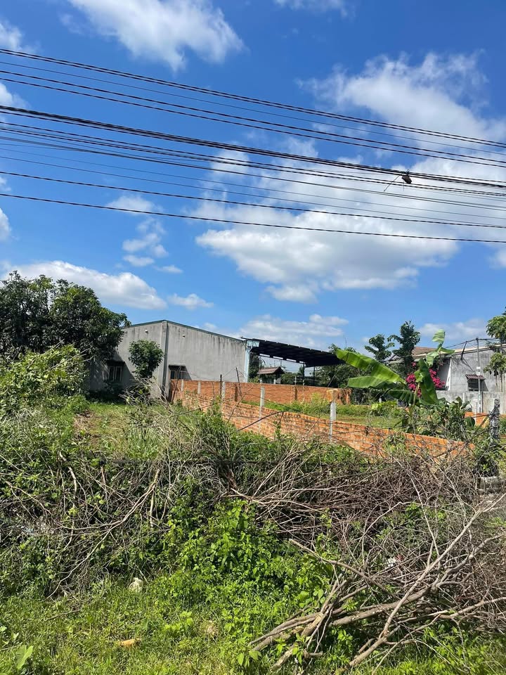 Đất nền Buôn Ma Thuột 135m² giá 1.15 tỷ - Lô góc 2 mặt tiền thoáng mát!