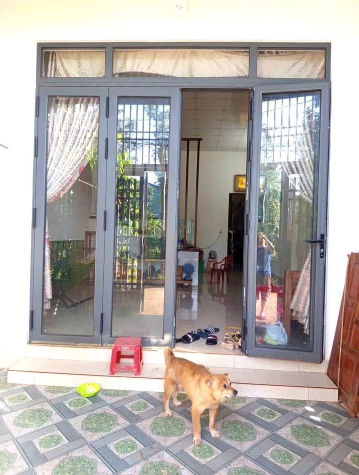 Nhà cấp 4 Hòa Thắng, Buôn Ma Thuột 100m² giá 1.55 tỷ - Cần bán gấp!