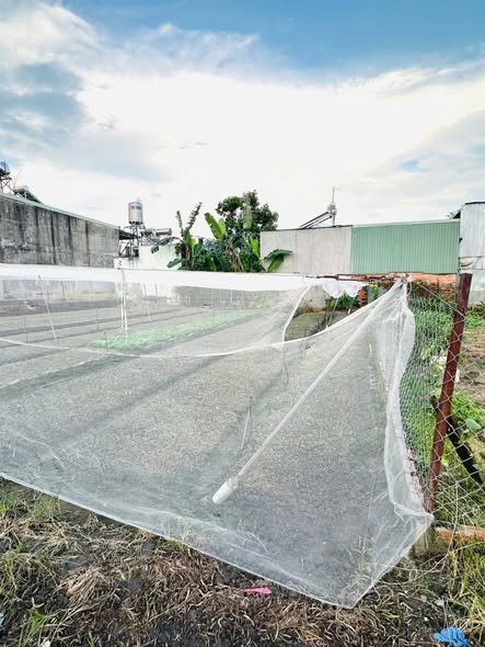 Đất nền khu phố 4 Trảng Dài 90m² giá 670 triệu - Sổ hồng chính chủ!