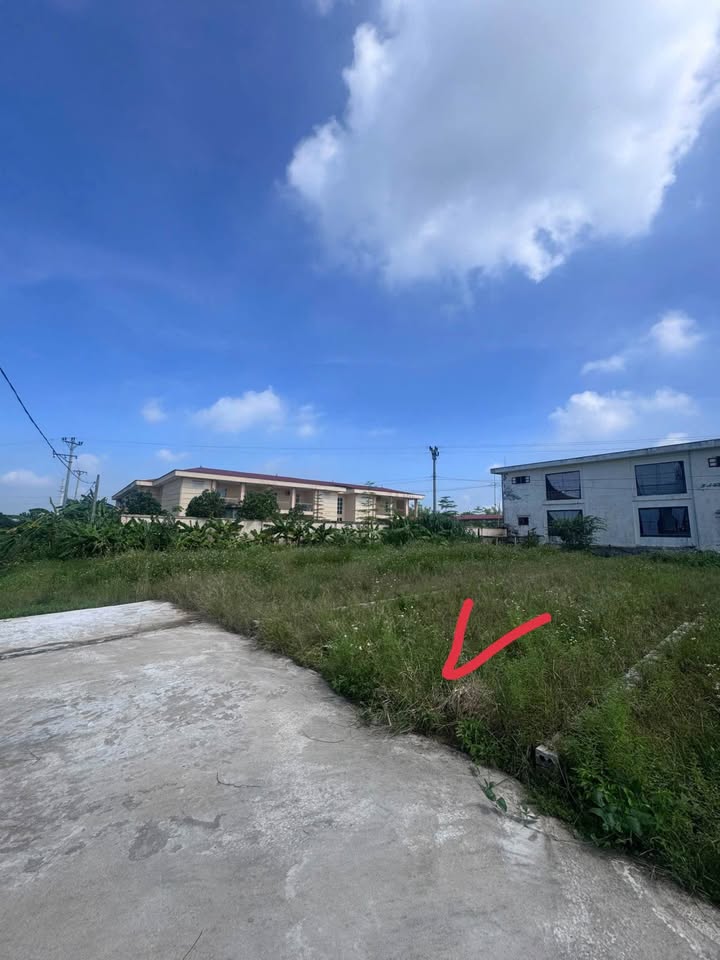 Đất Đấu Giá Làng Nghề Gia Phú - Tân Dân 111.9m² Giá Thỏa Thuận - Đường Rộng, Xe Tải Đỗ Cửa!