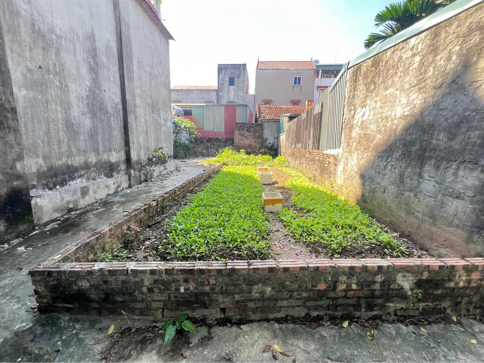 Đất lô góc Đức Thượng, Hoài Đức 54.3m² giá 4 tỷ - Tiềm năng tăng giá mạnh!