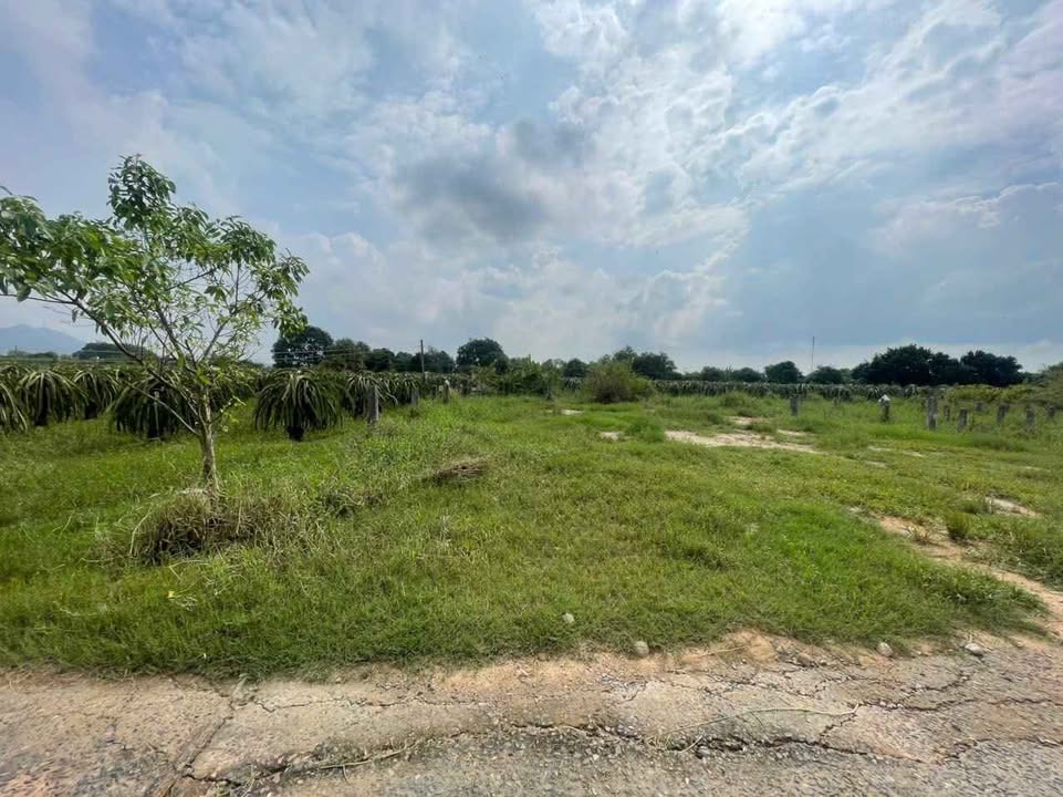 Đất thổ cư 100m² xã Hàm Liêm giá chỉ 380 triệu - Sổ đỏ chính chủ!