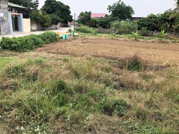 Đất nền lô góc Hiệp Hòa 200m² giá chỉ 1xxx - Đầu tư sinh lời ngay!