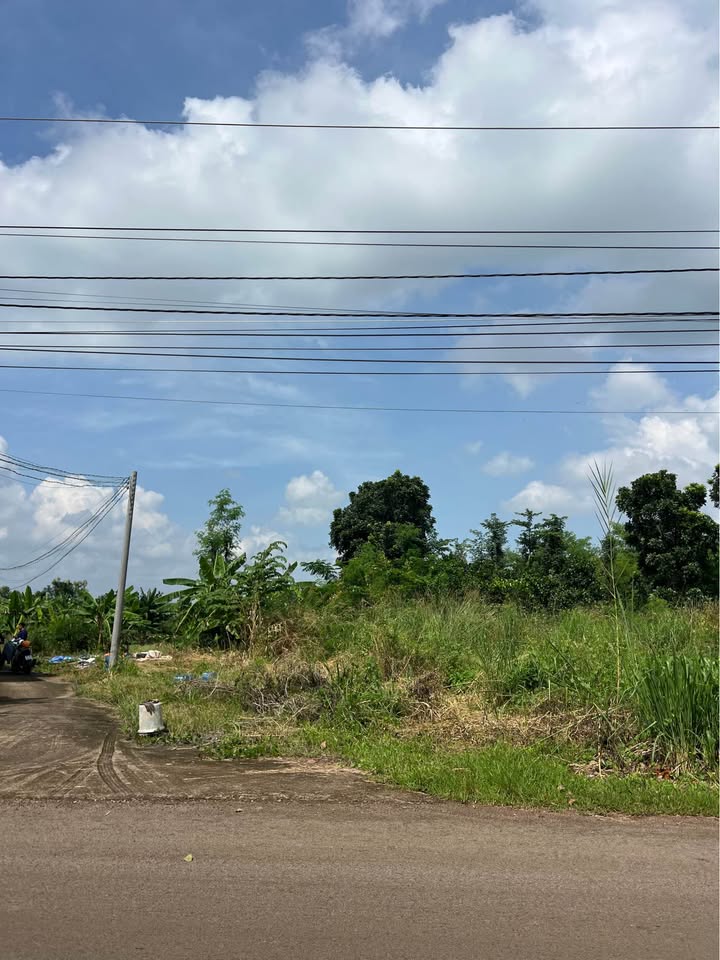 Đất nền Bảo Vinh Long Khánh 115m² giá 1.25 tỷ - Mặt tiền kinh doanh cực hiếm!