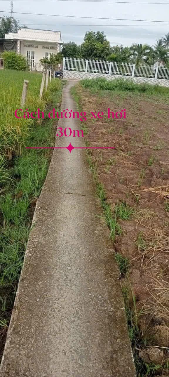 Đất thổ cư ấp Bình Cang 2, Thủ Thừa - 120m² chỉ 420 triệu - Cơ hội đầu tư hiếm có!