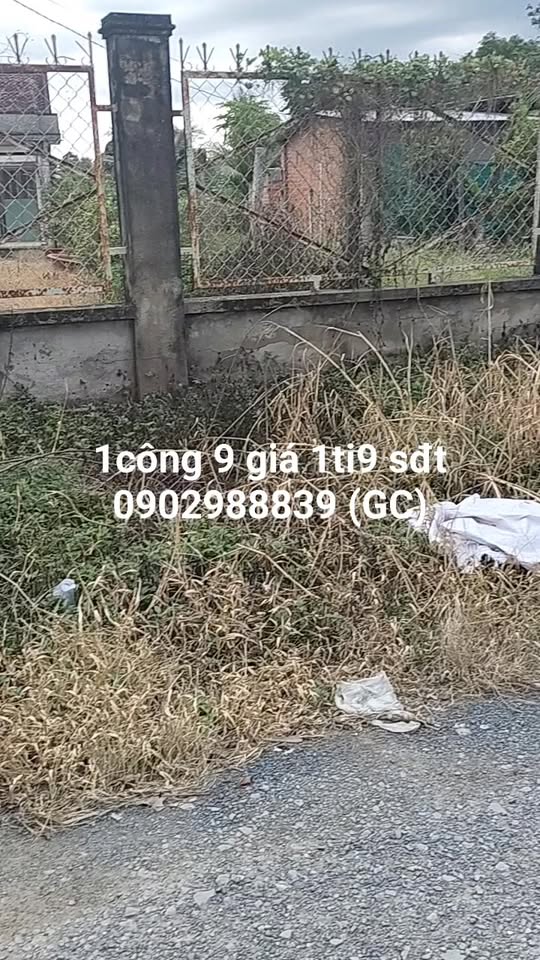 Đất nền 1900m² đường Nguyễn Văn Cừ, Hòa Thành - Giá chỉ 1.9 tỷ, thương lượng!