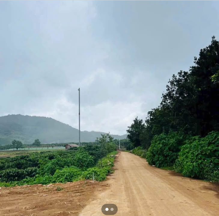 Đất nền Hiệp Thạnh Đức Trọng 240m² giá chỉ 1.2 tỷ - Cơ hội đầu tư tốt!