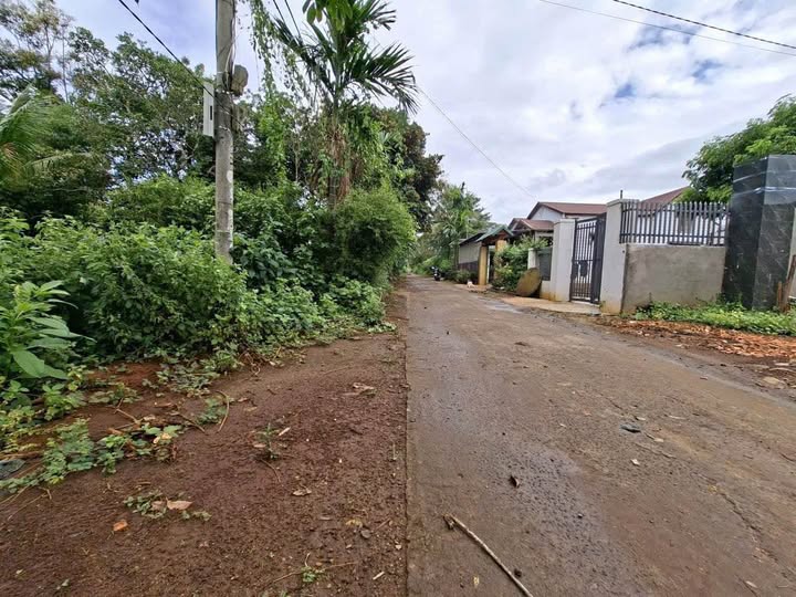 Đất thổ cư 258m² tại Buôn Ma Thuột - Giá chỉ 1.95 tỷ, cơ hội đầu tư tuyệt vời!