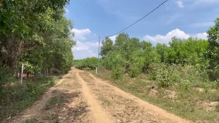 Đất nền Xuân Trường, Xuân Lộc, Đồng Nai 252m² - Sổ hồng riêng, giá chỉ 1xx triệu!