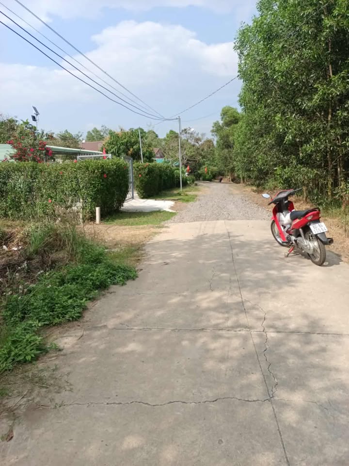 Đất thổ cư Xuân Trường 3600m² giá 980 triệu - Cơ hội đầu tư tuyệt vời!