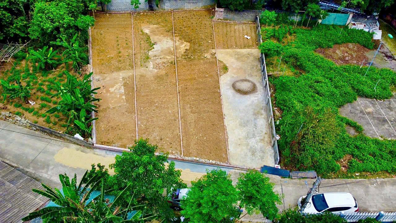 Đất thổ cư 164m² tại Phú Cát, Quốc Oai chỉ 2 tỷ - Đường thông ô tô tránh