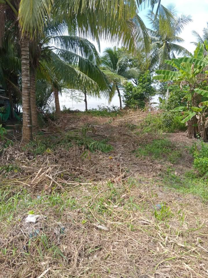 Đất thổ cư 108,8m² tại ấp Hòa Lộc, Châu Thành - Giá thỏa thuận hấp dẫn!