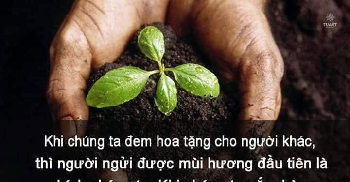 Đất ở đô thị Tam Sơn, Sông Lô 216m² giá chỉ 800 triệu - Mặt tiền rộng 6m, gần mọi tiện ích!