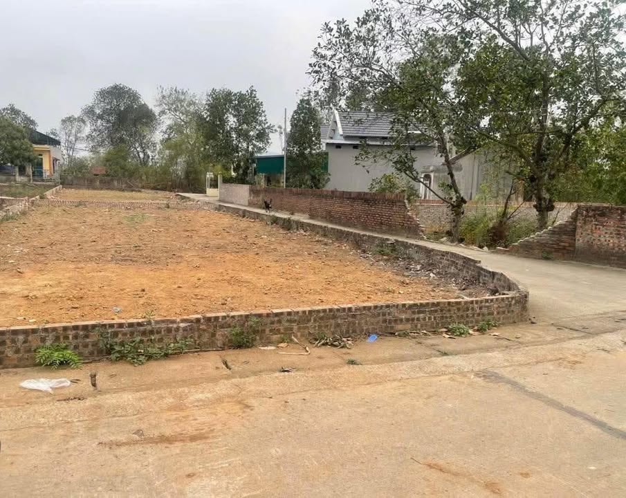 Đất nền góc Xuân Hòa Phúc Yên 224m² giá 2 tỷ - Sổ hồng chính chủ, vị trí đắc địa!