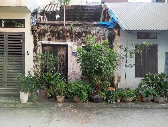 Đất nền phân lô Z133 Ngọc Thụy 50m² giá 7 tỷ - Cơ hội đầu tư hiếm có!