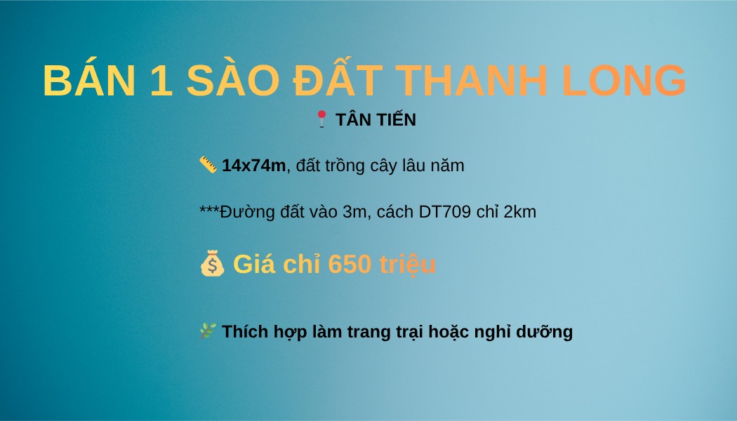 Đất nền Tân Tiến La Gi 360m² giá chỉ 650 triệu - Đầu tư sinh lời!