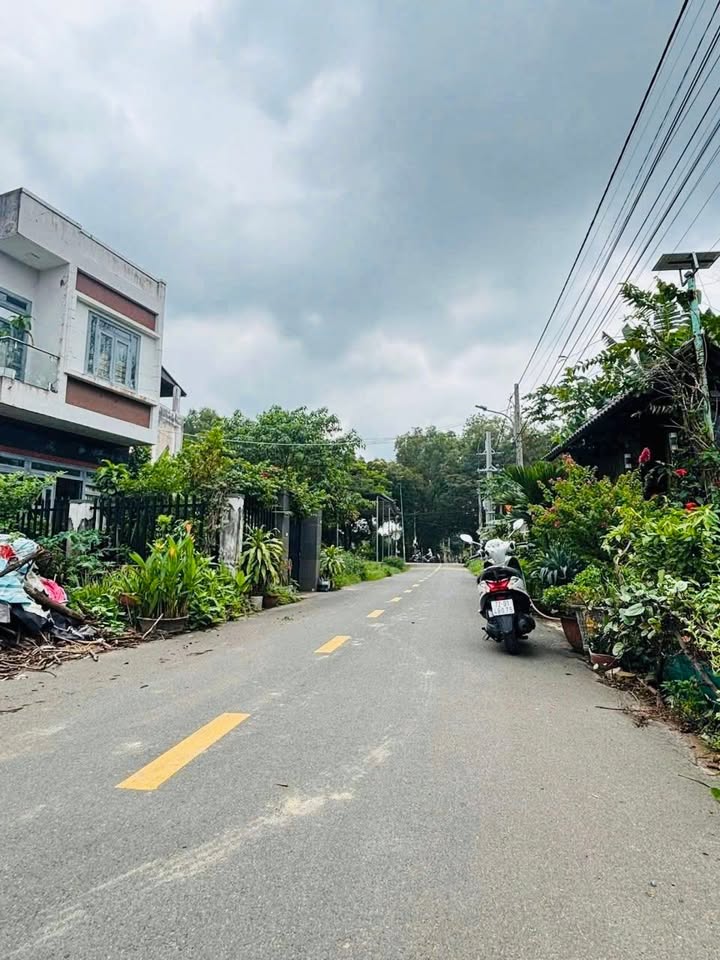 Đất mặt tiền Trần Phú, phường Long Tâm, TP Bà Rịa 55m² chỉ 2.45 tỷ - Cơ hội đầu tư hiếm có!