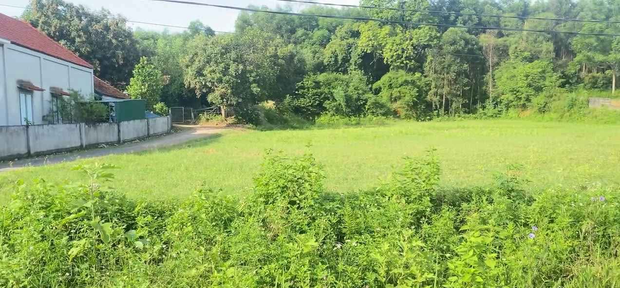 Đất thổ cư 1.615m² xã Bạch Ngọc Đô Lương chỉ 1.292 tỷ - Cơ hội đầu tư lý tưởng!