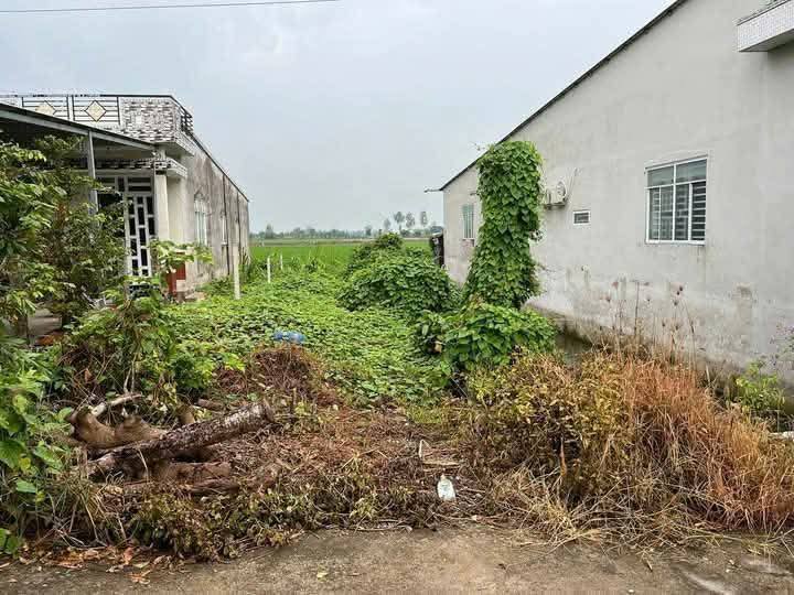 Đất thổ cư Cờ Đỏ, Cần Thơ 303m² giá 750 triệu - Sổ hồng riêng, ô tô vào tận nơi!