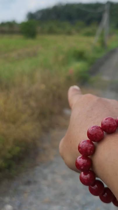 Đất nền Trà Vong, Tân Biên 1010m² giá chỉ 235 triệu - Cơ hội đầu tư lý tưởng!