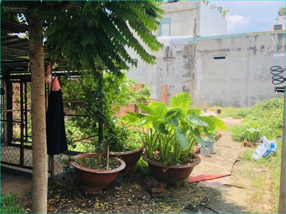 Biệt thự mặt tiền đường Lê Trọng Tấn, Quận Bình Tân, 2323m² giá 100 tỷ - Đầu tư sinh lời bền vững!