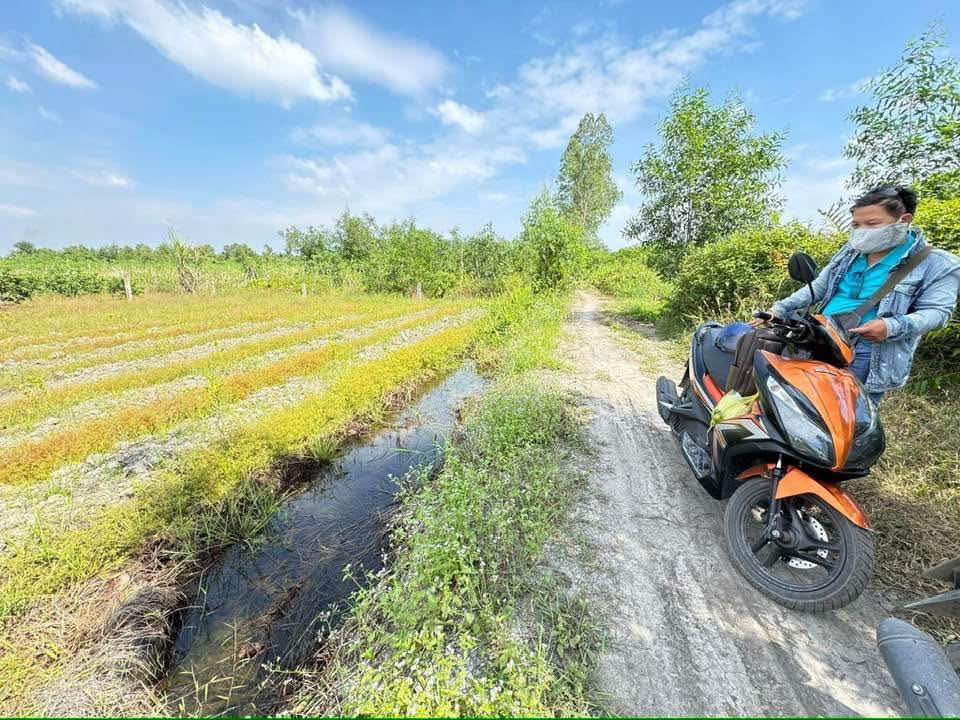 Đất vườn Bến Lức 1000m² giá 850 triệu - Lô góc cao ráo, pháp lý đầy đủ!