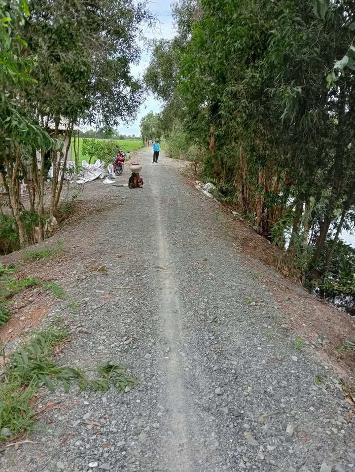 Đất nông nghiệp 43000m² tại xã Tân Long, Thủ Thừa - Giá chỉ 14.19 tỷ!