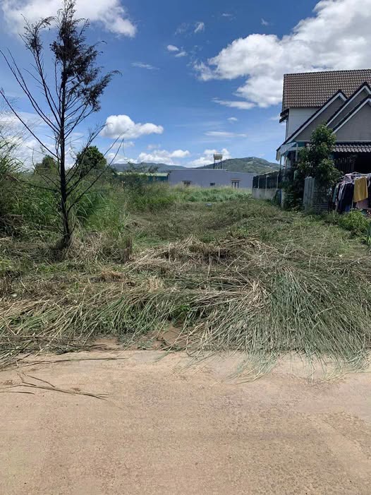 Đất thổ cư xã Ka Đô, huyện Đơn Dương 155m² giá 800 triệu - Đầu tư sinh lời ngay!