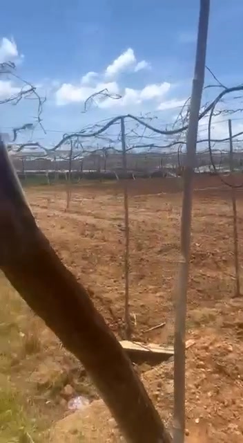 Đất nông nghiệp xã Ka Đô 15480m² giá 2.6 tỷ - Đầu tư lý tưởng!