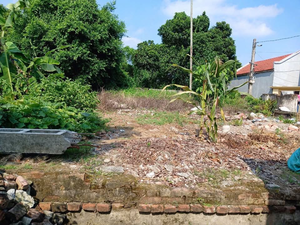 Đất nền thôn 5 Vũ Bản 95m² giá chỉ 600 triệu - Cơ hội đầu tư tuyệt vời!