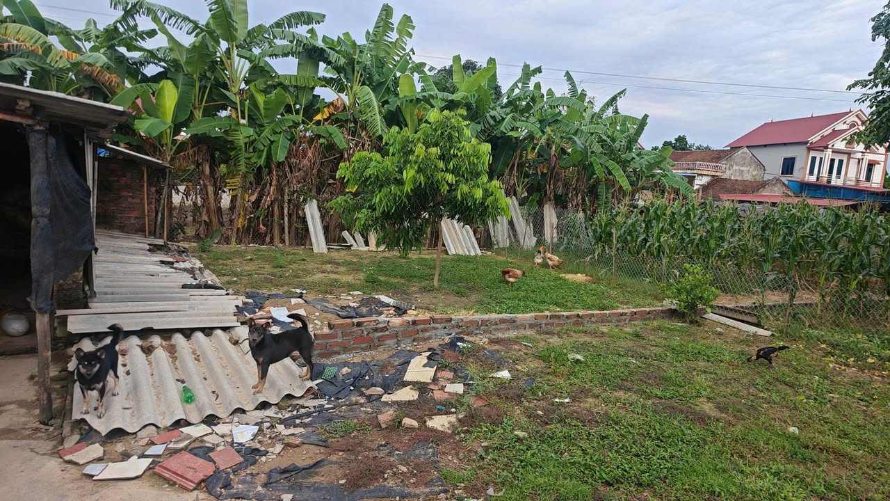 Đất nền Nam Tiến, Phổ Yên 112m² chỉ 1 tỷ - Đầu tư sinh lời lý tưởng!