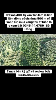 Đất nền Tân Lâm, Di Linh 9100m² giá chỉ 1.84 tỷ - Sổ hồng chính chủ!