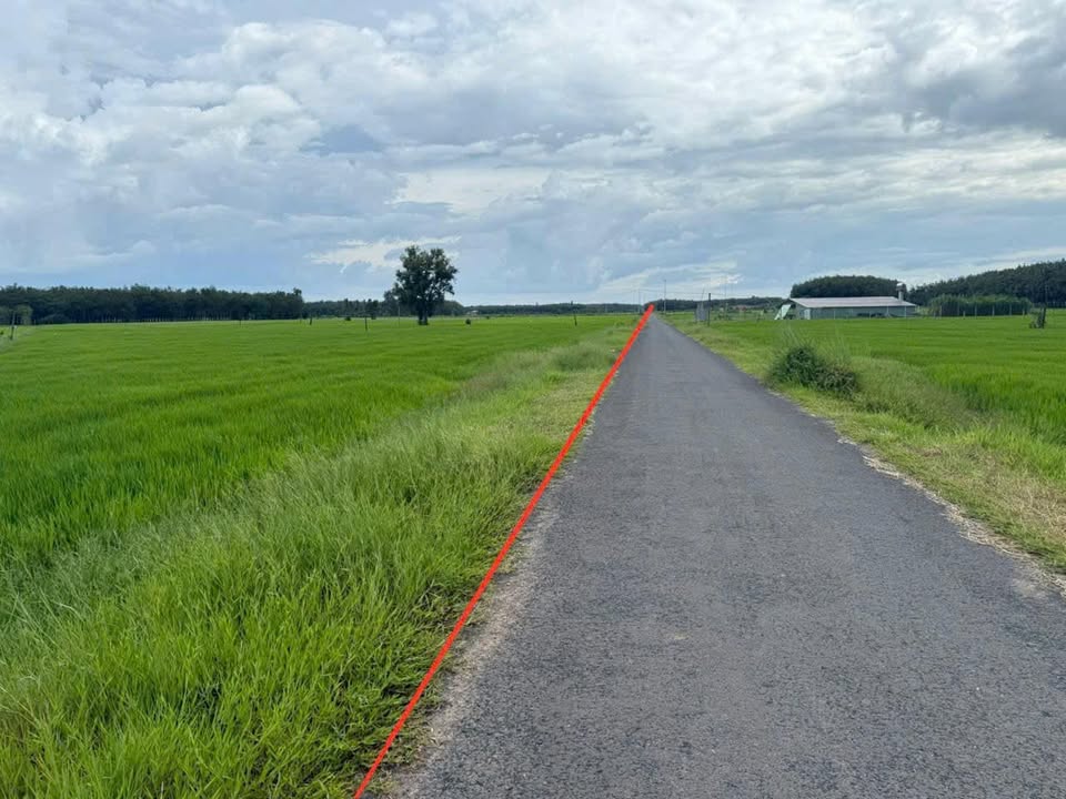 Đất nền mặt tiền Nhựa xã Phan DMC Tây Ninh 145m² giá 330 triệu - Sổ hồng chính chủ!