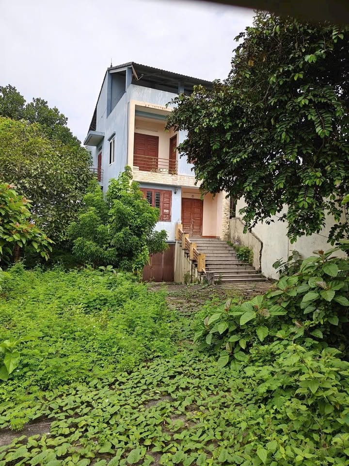 Đất nền Tản Lĩnh, Ba Vì 360m² - Mặt đường 414, Kinh doanh tốt!