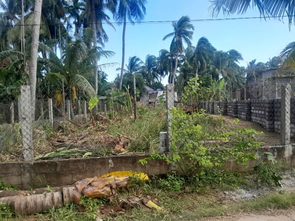 Đất nền liền kề 150m² tại khu phố Trung Hóa, Hoài Nhơn - Giá chỉ 500 triệu