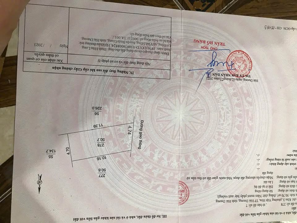 Đất nền mặt ngõ phố Địch Hòa, phường Việt Hòa, 50m² giá chỉ 1 tỷ - Cơ hội đầu tư tuyệt vời!