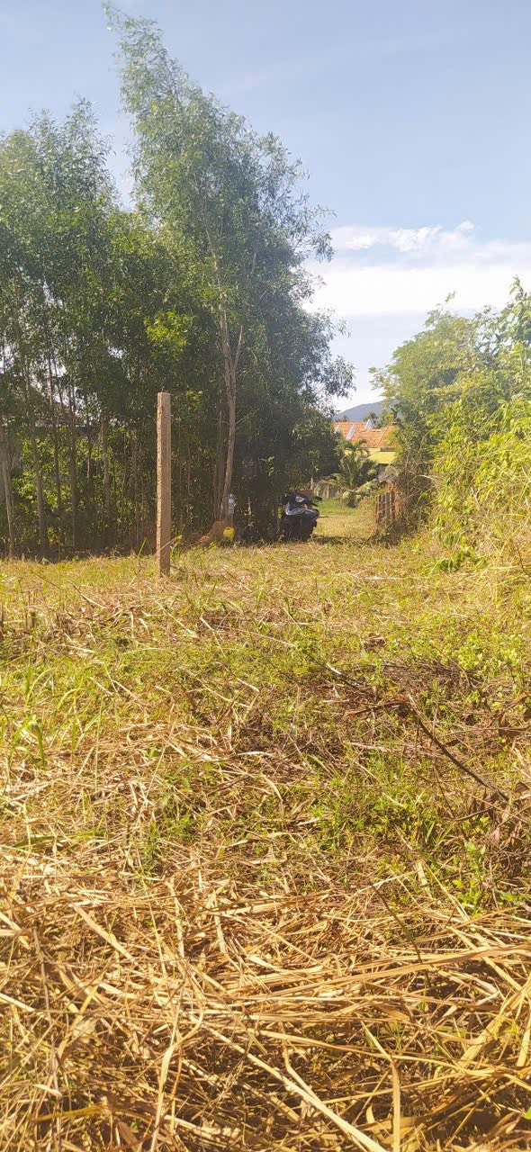 Đất Nền Ninh Hòa 140m² giá 2xx triệu - Cơ hội đầu tư hiếm có!