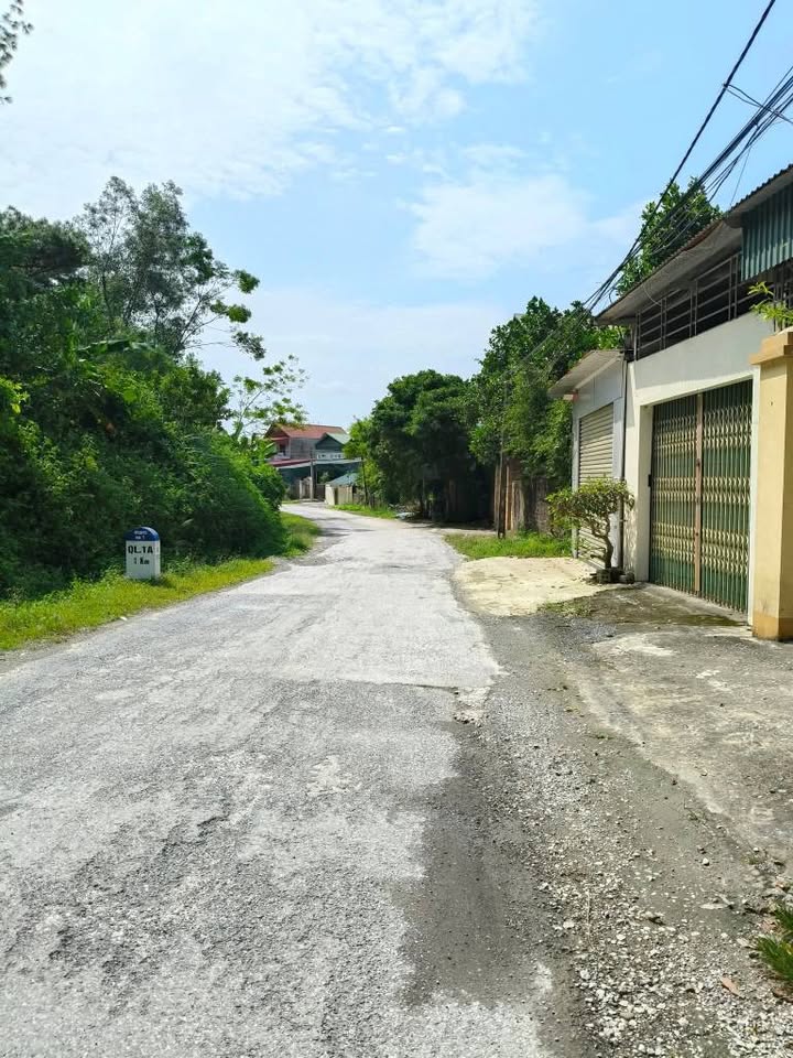 Đất Thị trấn Hà Trung, Thanh Hóa 81m² giá 800 triệu - Cơ hội sở hữu ngay!