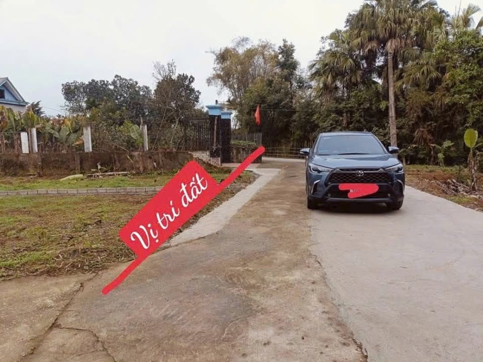 Đất nền liền kề tại xã Triệu Sơn, Thanh Hóa - Sổ hồng chính chủ, giá chỉ 200 triệu/lô!