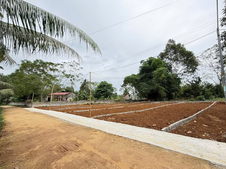 Đất nền Cẩm Châu Cẩm Thủy 100m² - Đường bê tông thông thoáng, dân cư đông đúc!