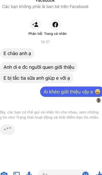 Đất nền khu đô thị Mỹ Trung 80.8m² giá 3.4 tỷ - Cơ hội đầu tư tuyệt vời!