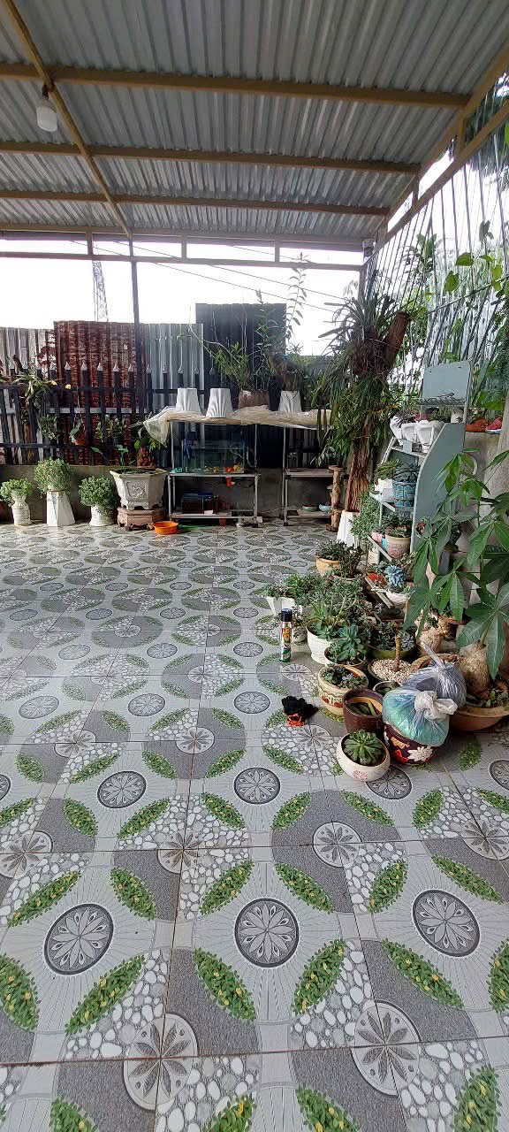 Đất thổ cư Đắk Wer 480m² giá 1.3 tỷ - Đầu tư sinh lời tuyệt vời!