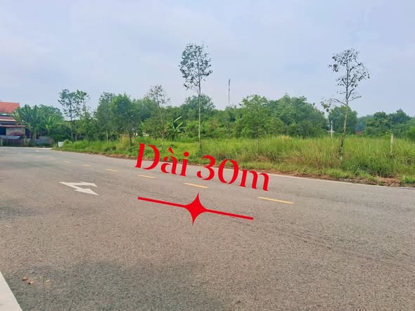 Đất Bến Cát mặt tiền đường D9, 300m² giá 5 tỷ - Sổ hồng chính chủ!