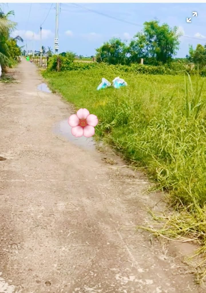 Đất nền Tân Điền Gò Công Đông 168m² giá chỉ 200 triệu - Cơ hội đầu tư hấp dẫn!