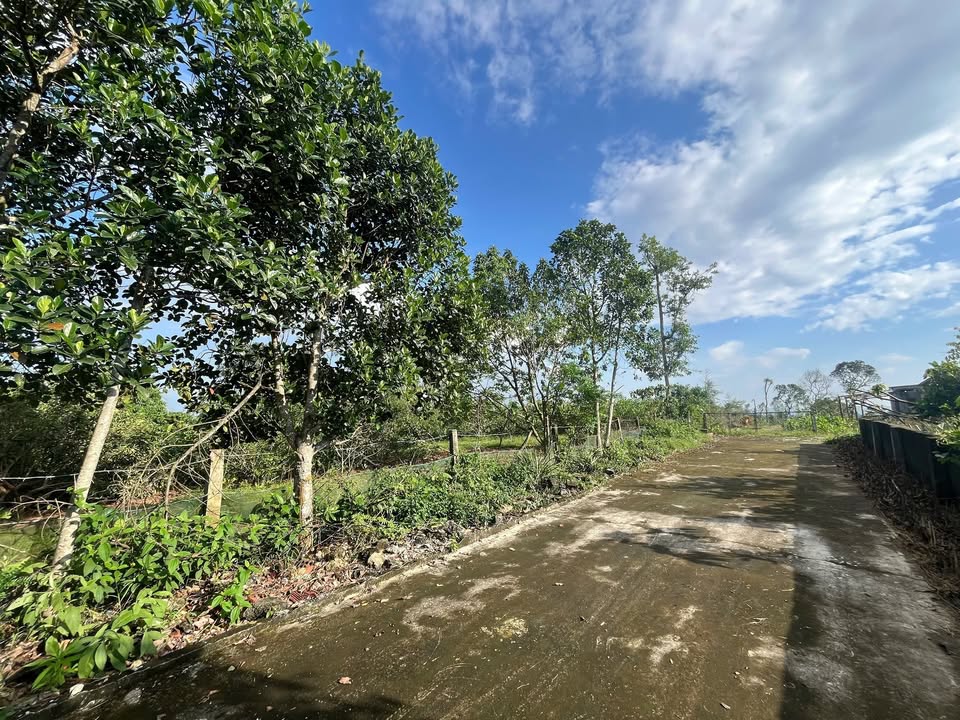 Đất nền Khánh Vĩnh Yên 144m² giá chỉ 500 triệu - Cơ hội đầu tư tuyệt vời!