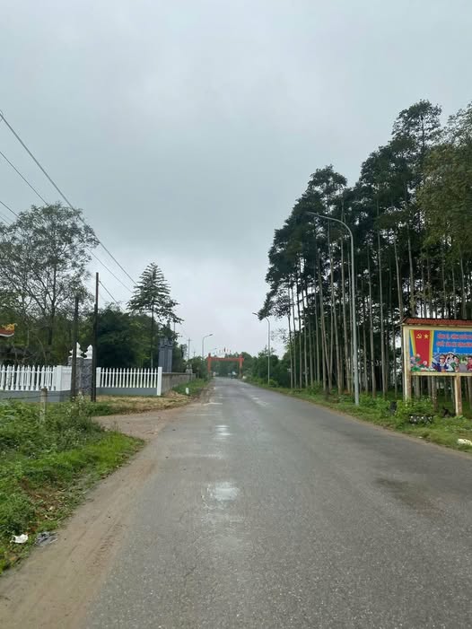 Đất Quảng Trị 180m² giá 300 triệu - Đầu tư sinh lời ngay!